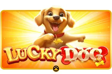 po88 baccarat live casino